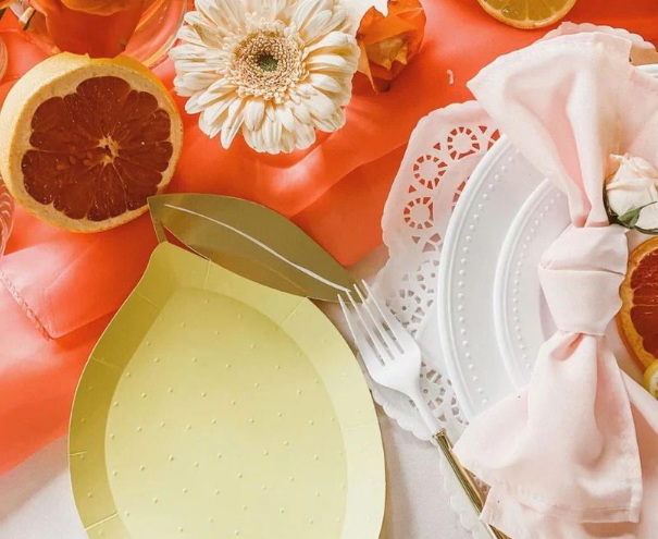 Disposable Tableware_14