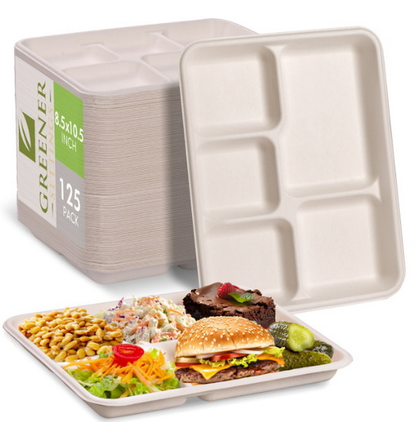 Disposable Trays_2