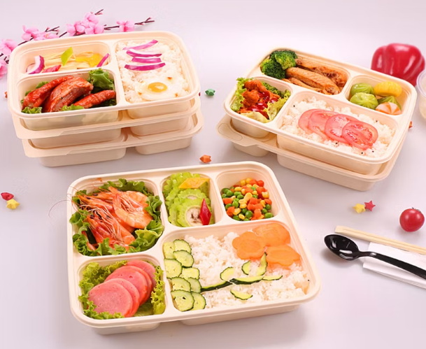 Disposable Bento Boxes_1