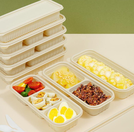 Disposable Lunch Box_20