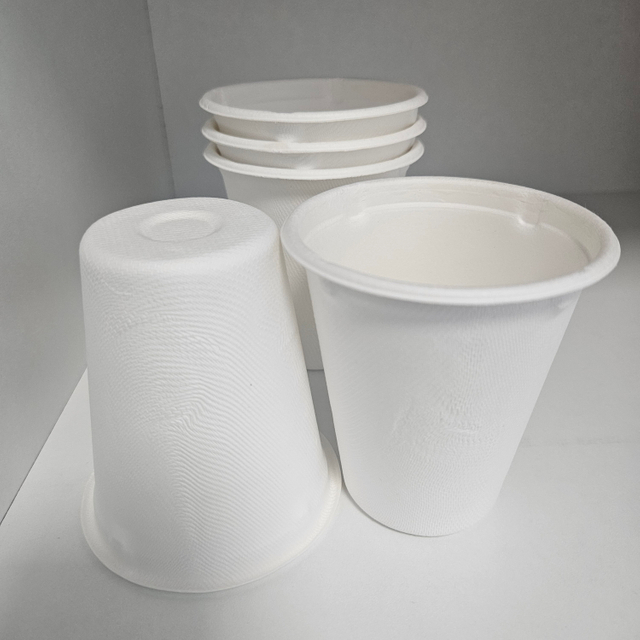 8oz cup without lid