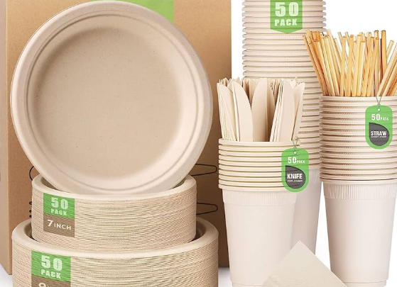 Compostable Food Packaging China