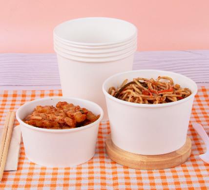 Large Disposable Bowl with Lid 1