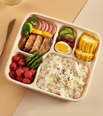 Disposable Meal Box Vietnam