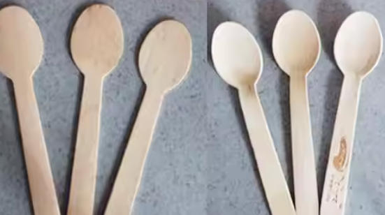 Green Biodegradable Cutlery China Green Biodegradable Cutlery China