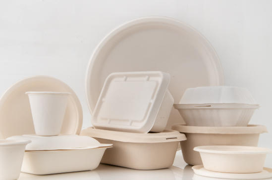 Food Packaging Solutions Philippines حلول تغليف المواد الغذائية الفلبين