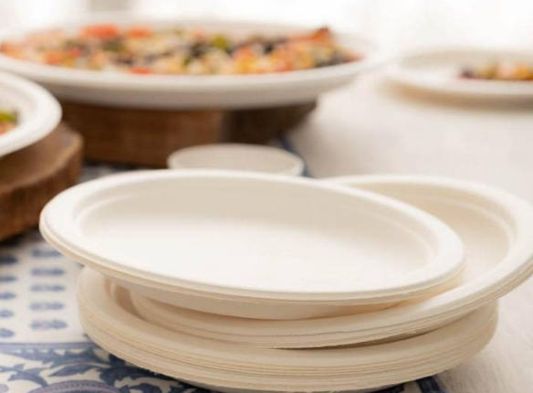 Biodegradable Dinnerware Malaysia Biodegradable Dinnerware Malaysia