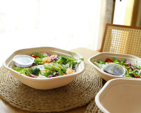 Biodegradable Fiber Bowl Suppliers In Thailand Biodegradable Fiber Bowl Suppliers In Thailand