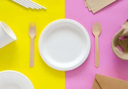 Top Disposable Tableware Manufacturers And Suppliers in Germany