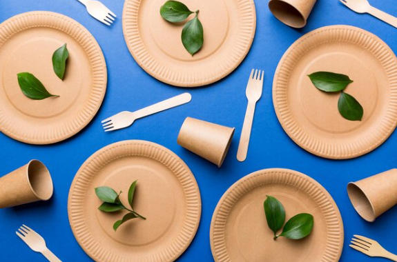 Top Paper Dish Manufacturers And Suppliers in Portugal