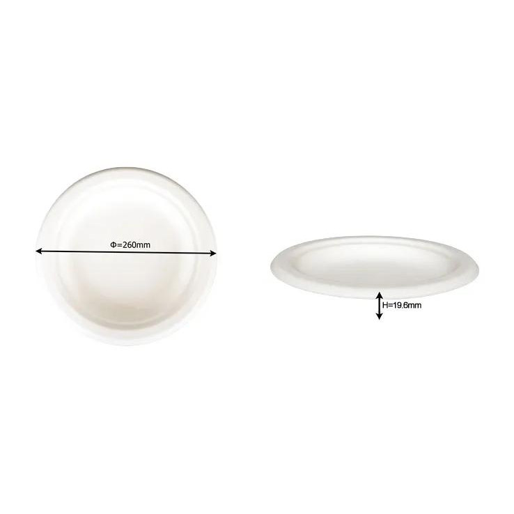 10 Inch Round Plate