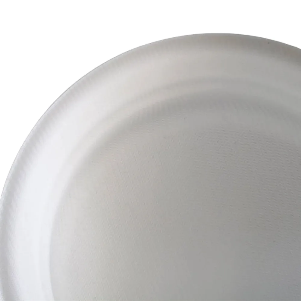 7 Inch Round Plate