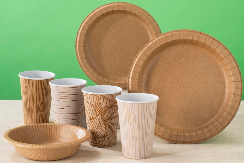 Disposable Tableware_1.jpg