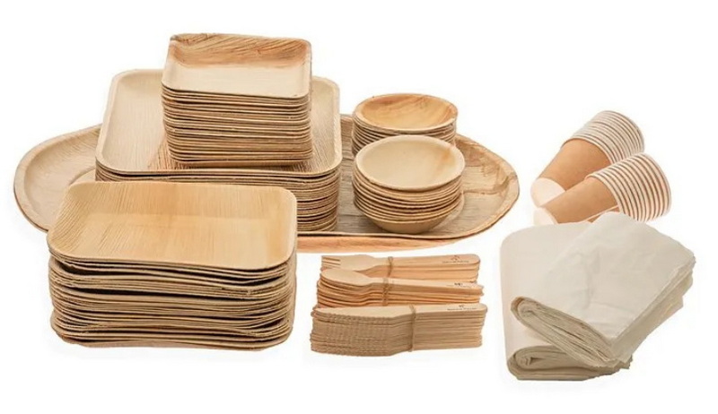 Holiday Disposable Tableware_2
