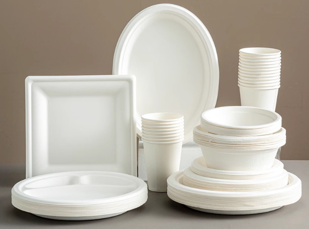 Are Quality Disposable Plates And Cutlery Safe for All Food Types?