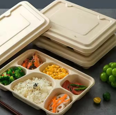 What Makes 2 Compartment Disposable Plates Ideal for Catering And Events?
