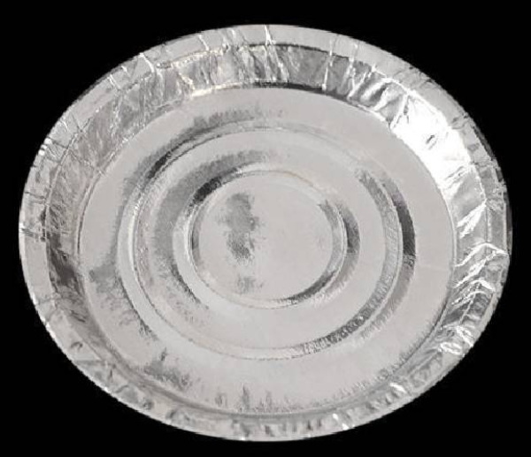Silver Disposable Plates_3