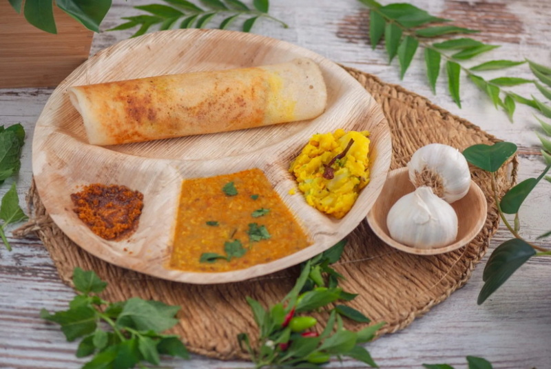 Are Disposable Dosa Plates Safe for Food?