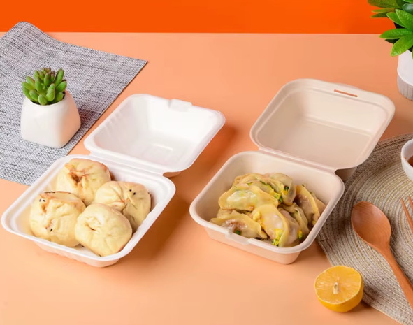 Disposable Bento Lunch Boxes_2