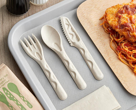 Top Compostable Cutlery Manufacturers And Suppliers in South Korea.jpg