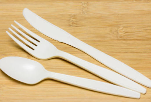 Top Compostable Forks Manufacturers And Suppliers in Kazakhstan.jpg
