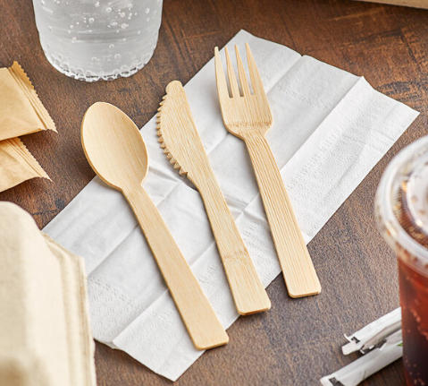 Top Compostable Forks Manufacturers And Suppliers in Poland.jpg