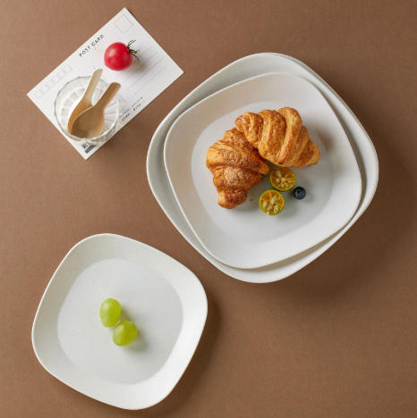 Kazakh Paper Plate Production Companies