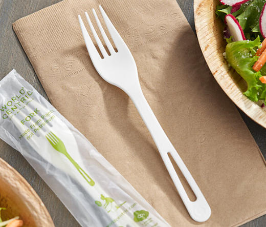 Top Compostable Forks Manufacturers And Suppliers in Germany.jpg